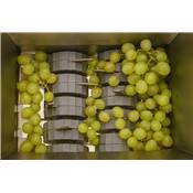 Fouloir à fruits manuel Grifo PIP INOX – trémie 40×40 cm